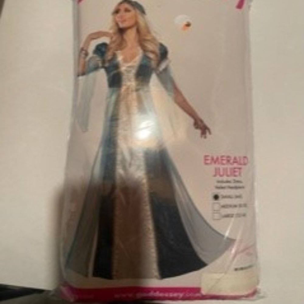Halloween Princess Costume